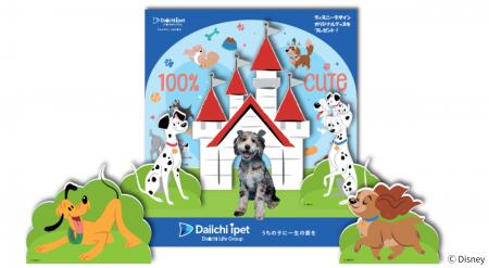 ディズニーデザインのフォトブースで2つのペットのイ