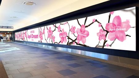 「夢よ、飛べ。」羽田にスポーツ選手・俳優・歌手ら11