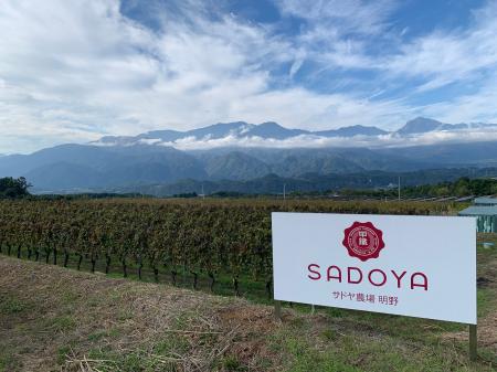 サドヤ、フェミナリーズ世界ワインコンクール2026で3