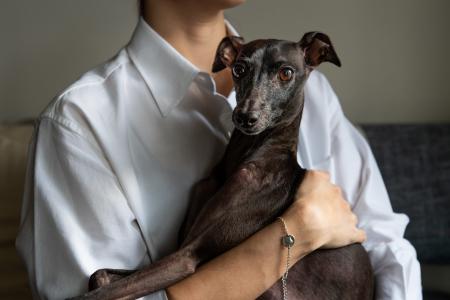 家族として暮らす愛犬・愛猫との記憶を、身につけるか