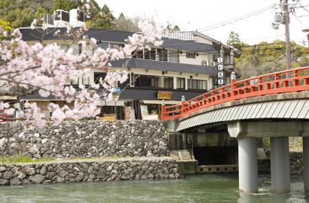 桜の開花にあわせて、京都スタッフ運営の宇治川utf-8 桜の開花にあわせて、京都スタッフ運営の宇治川utf-8