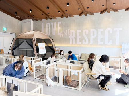 商業施設に保護犬シェルター - マークイズ福岡ももち