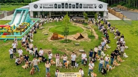 100匹のわんこが大行進！大型犬・小型犬オフ会を大阪