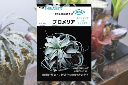 ブロメリアの見どころから育て方までを一挙伝授！『NH