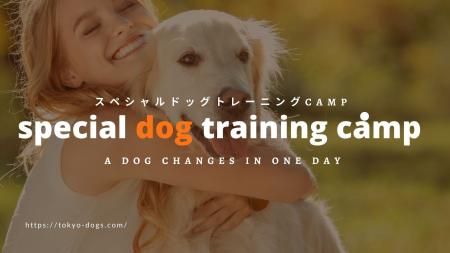 富士山麓の大自然で愛犬としつけを学ぶ1泊2日のキャン