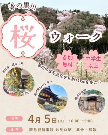 里山の桜を歩いて楽しむ「春の黒川 桜ウォーク」開催