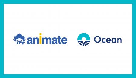 アニメイト、2026年免税制度改正を見据え「Ocean Tax 