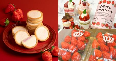 ＜千葉＞西船橋駅ナカで3/21(土)より開催　いちutf-8