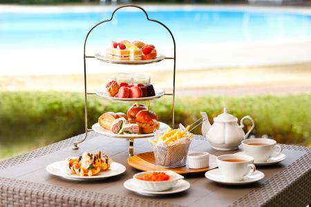 愛犬と至福のティータイムを！プールサイドの心地良い