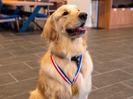 愛犬同伴型ホテルで限定開催『海辺のWan！Do会』― 愛