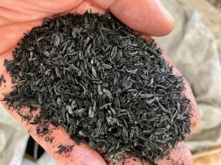 ビール大麦試験圃場へのバイオ炭施用※1によるGHG排出