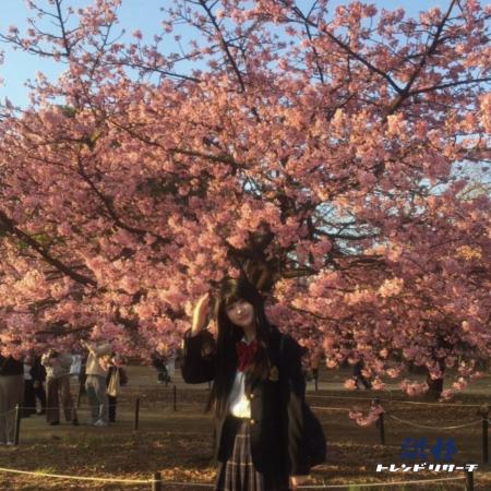 【2026年春の特大号】全15項目！最新トレンドTOP10！