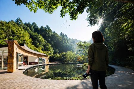 【軽井沢星野エリア】鳥の「まなざし」と出会う、森の