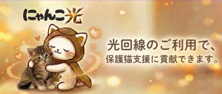 「にゃんこ光 Powered by So-net」提供開始
