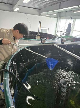 瀬戸内の海産物を守りたい！一級建築士が陸上エビ養殖