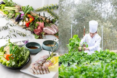 【淡路島】ミシュラン12年連続星獲得シェフ・唐渡氏監