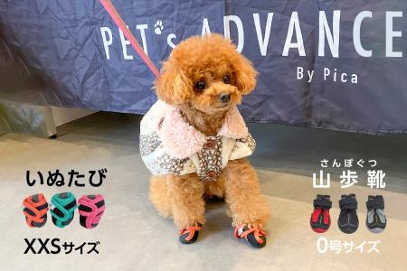 お客様の声から小さいサイズが新登場！小さすぎて靴が