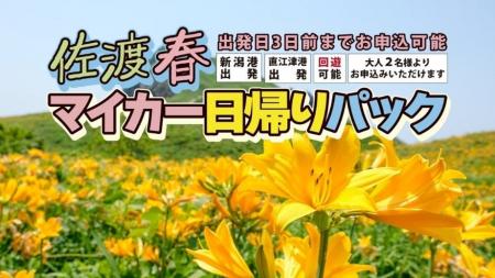 【佐渡汽船】2026年度春期間「佐渡マイカー日帰りパッ