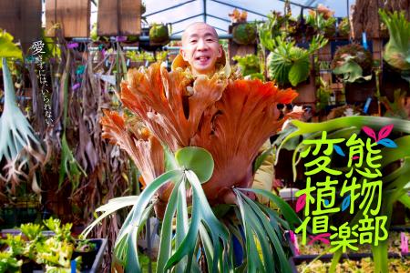 【ひょうろく×珍奇植物】偏愛しすぎて変態？話題沸騰
