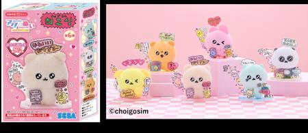 韓国Z世代席巻、SNSフォロワー100万超の「チェゴシム