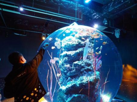 神戸ならではの特別体験を提供する『神戸のとびら』at