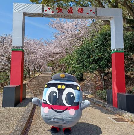 『海と桜の絶景陽桜』『関西最大級のエンタメ夜桜』昼