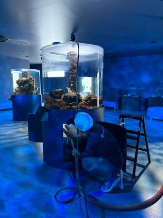 【広島もとまち水族館】大人の社会見学！？～閉館後「