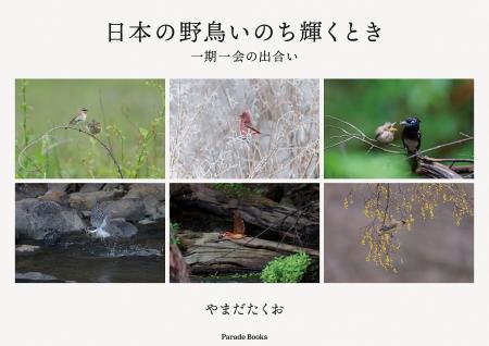 他では見ることのできない貴重な野鳥の姿が満載の写真