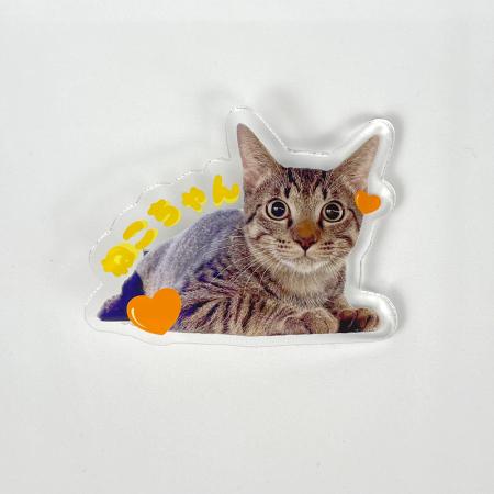 UP-Tから自由な形で作れるキュートなアクリルヘアクリ