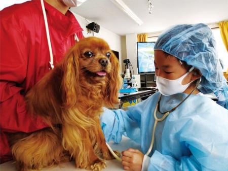 【こどもの休日の過ごし方】現役の獣医に学ぶ職業体験