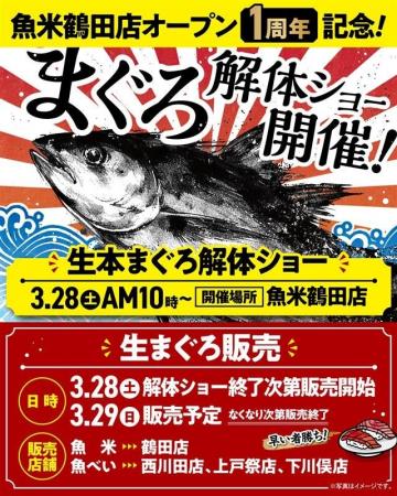 魚米 鶴田店オープン1周年記念！100kgを超えるまぐろ