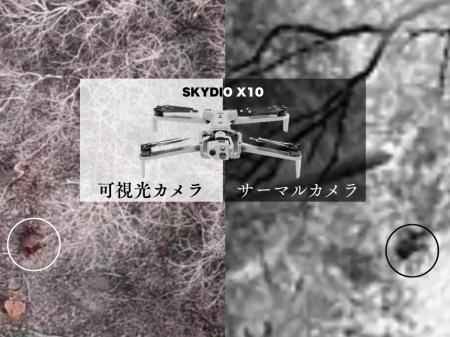 アフリカ豚熱に備え、ドローンで「空からのイノシシの