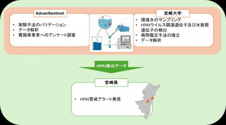 AdvanSentinel・宮崎大学・宮崎県が、渡り鳥が飛来す AdvanSentinel・宮崎大学・宮崎県が、渡り鳥が飛来す