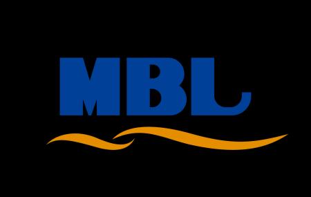 「AmoyDx(R) PIK3CA 変異検出キット」製造販売承認取 「AmoyDx(R) PIK3CA 変異検出キット」製造販売承認取