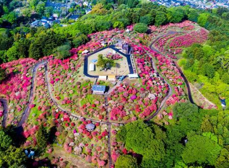 今年の春は笠間へ！花旅「あたご山桜まつり」と「笠間