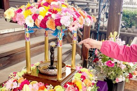 【参加無料】フラワーロス削減に寺院が取り組む「花ま