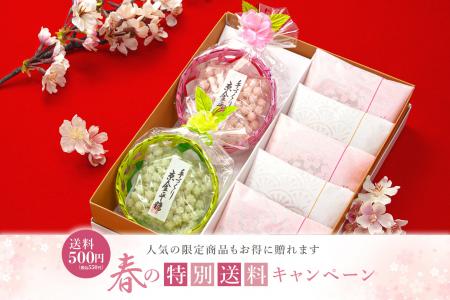 【送料500円キャンペーン】春の京都から和菓子のギフ