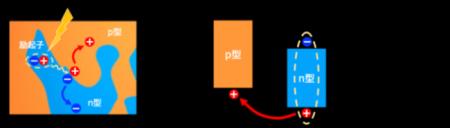 有機薄膜太陽電池の長年のジレンマを解消