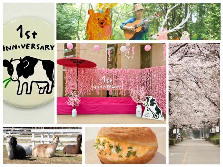 約200本の桜が彩る春の牧場で、グランドオープンutf-8