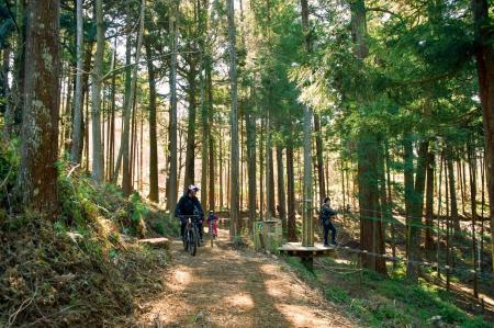 株式会社エイアンドエフ、神奈川県小田原市「フォレス