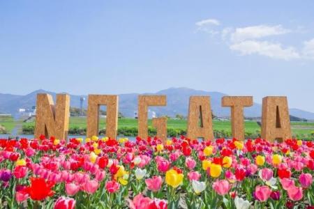 「伝統の景色を、次世代の技術で守る。」直方市、スズ