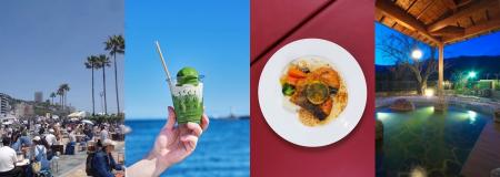 【熱海市】新茶、海鮮、ビールも！ 旬グルメを食べ歩