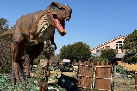 長井海の手公園ソレイユの丘に恐竜体験イベント、「恐