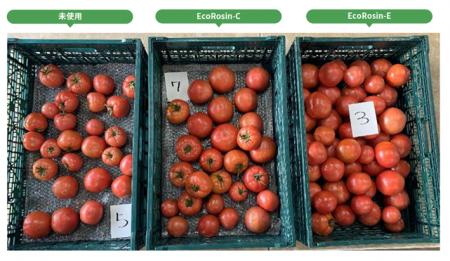 猛暑でも安定収量の確保。農業経営を劇的に変える松や