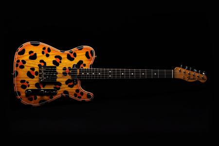 Fender Limited Art Gallery Collection桂川弦モデル
