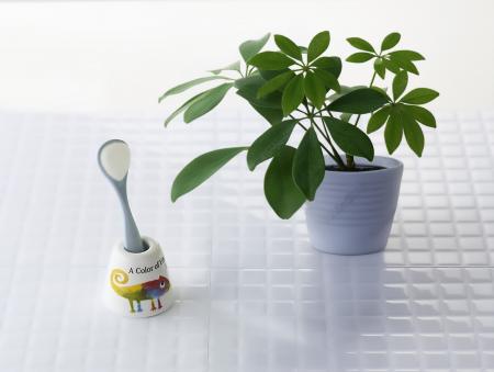 新学期から、新しい口腔ケア習慣を！将来の健康utf-8