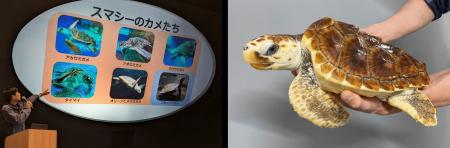 【神戸須磨シーワールド】 ４月19 日は 『飼育（しい