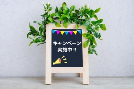 【愛媛・松山】春の引っ越しキャンペーン！マンスリー