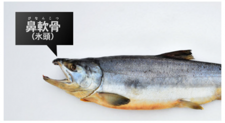 軟骨成分サプリメント「潤腰」が、日本マーケティング 軟骨成分サプリメント「潤腰」が、日本マーケティング