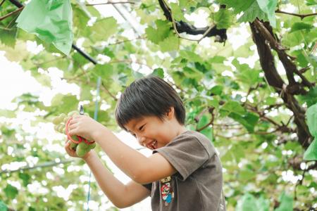 【企画連載 Vol.6】あわら色｜写真家 tomosaki が切り